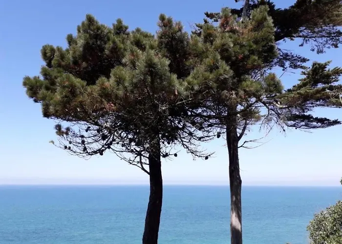 Bed and Breakfast Plat Gousset - Rdc 4*